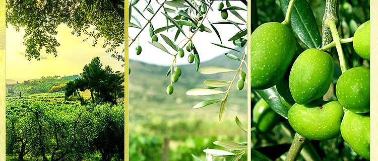 自定义广告名称